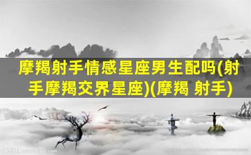 摩羯射手情感星座男生配吗(射手摩羯交界星座)(摩羯 射手)